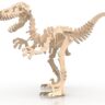 Velociraptor
